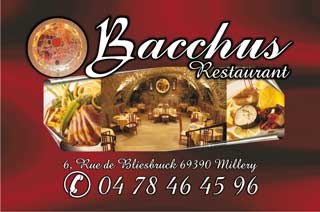 Bacchus Recto